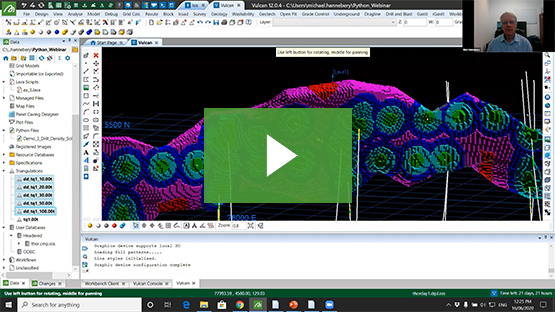 A still of the Python scripting webinar.