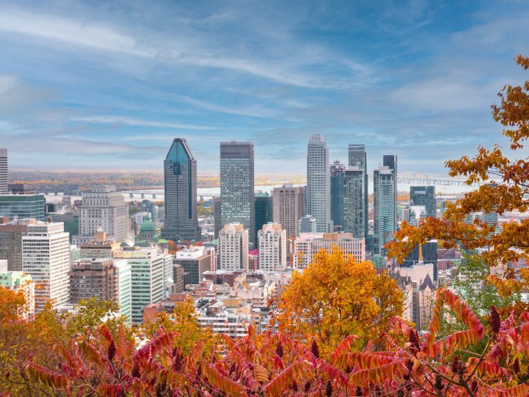 A picture of the Montreal downtown skyline in the fall with orange and red trees.